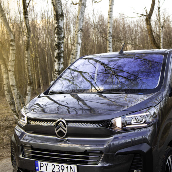 Citroen Specetourer - bus widoczny z przodu, zbliżenie, w otoczeniu natury